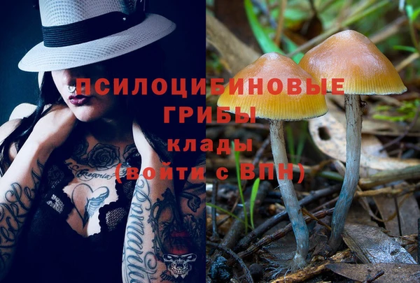 тгк Красноперекопск