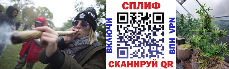 даркнет как зайти  Макушино  Марихуана конопля 